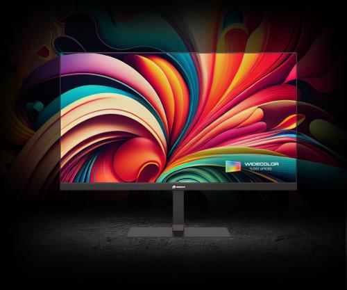 GAMEBOOSTER GB-2411FF 23.8'' 100Hz 1ms MPRT IPS FHD HDMI+VGA Flat Gaming Monitör